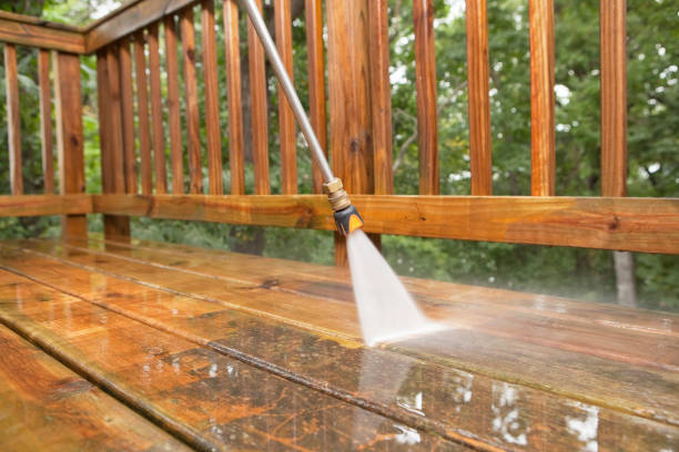 Best Rust Removal  in Harlem, FL