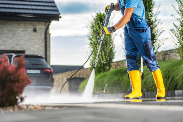 Best Animal Enclosure Cleaning  in Harlem, FL